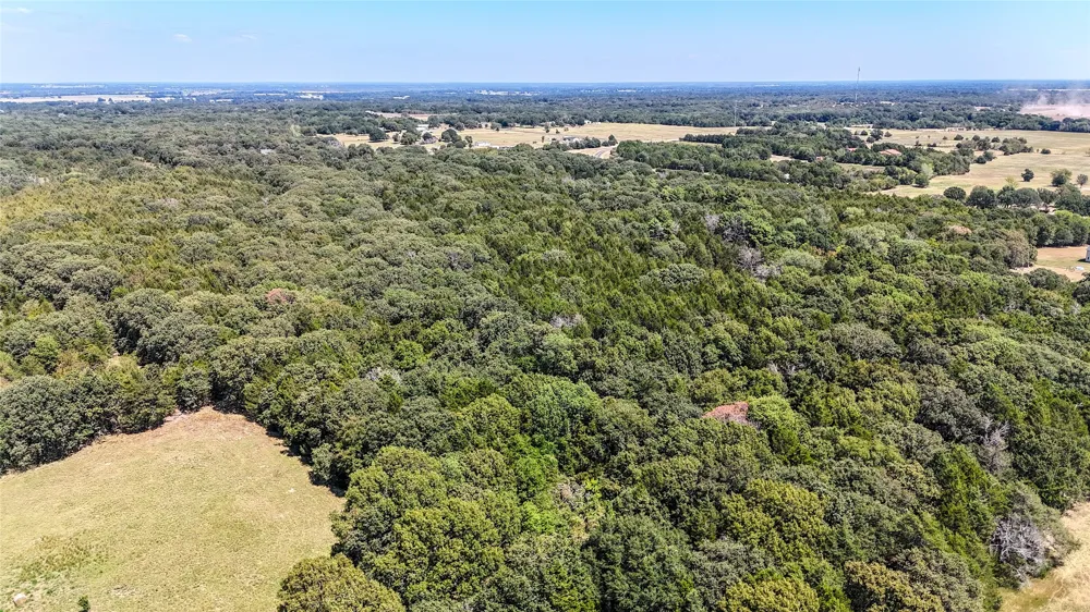 Fm-273 Ivanhoe, TX 75447