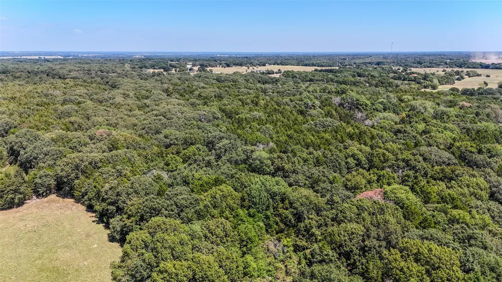 Fm-273 Ivanhoe, TX 75447