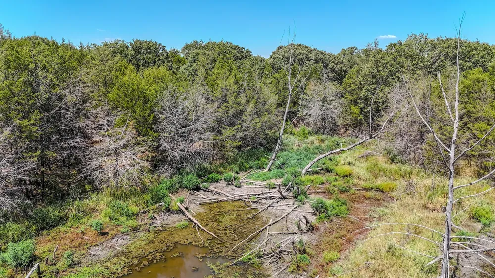 Fm-273 Ivanhoe, TX 75447