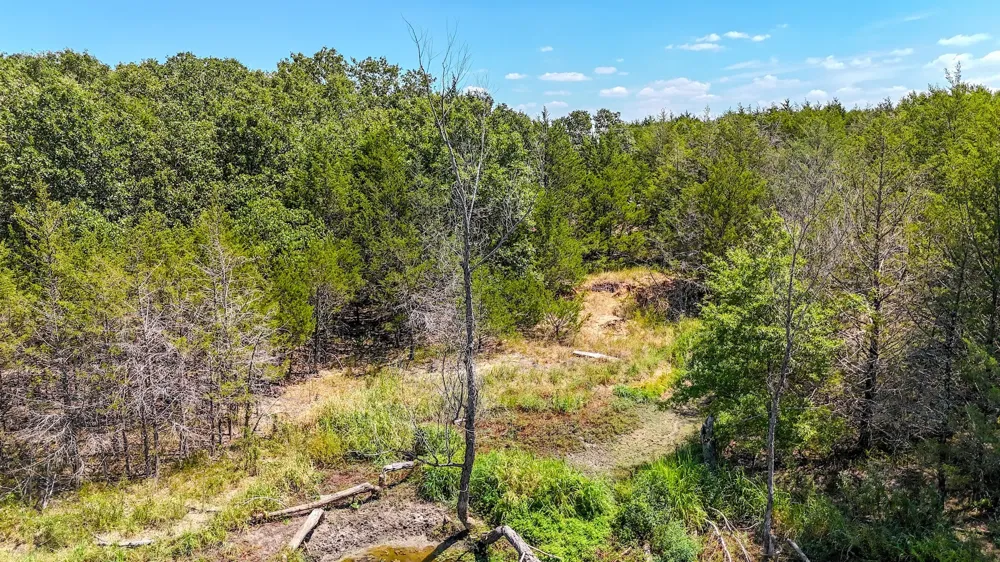 Fm-273 Ivanhoe, TX 75447