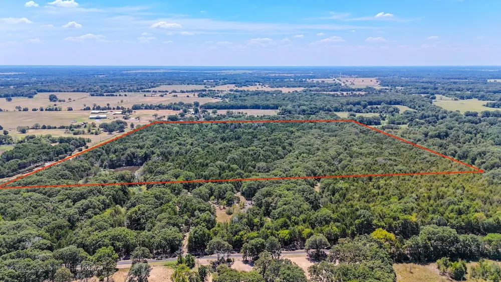 Fm-273 Ivanhoe, TX 75447