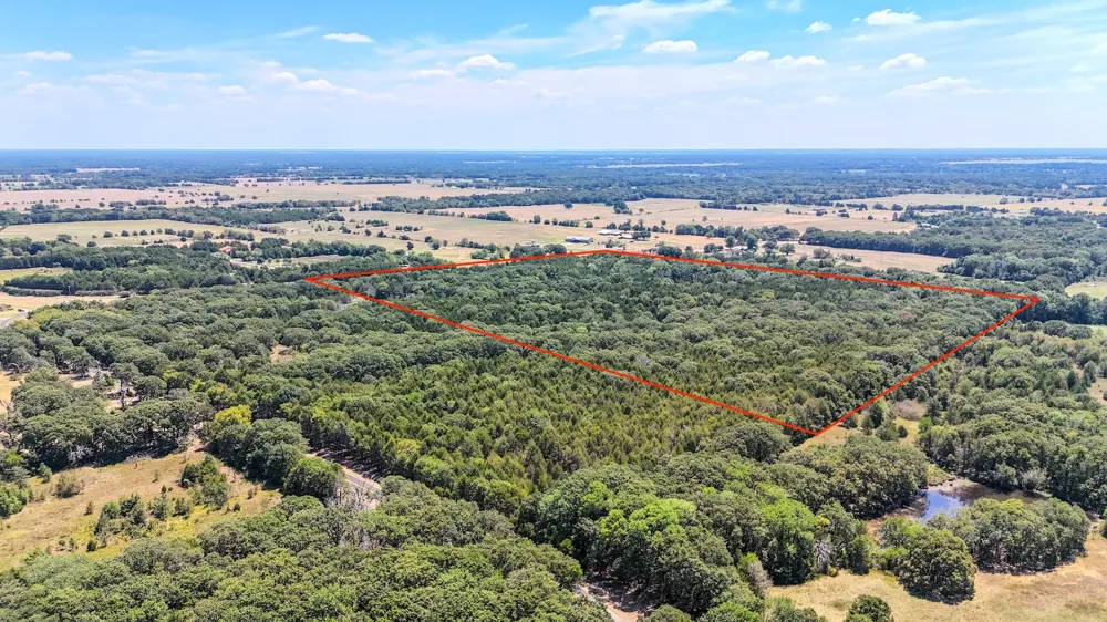 Fm-273 Ivanhoe, TX 75447
