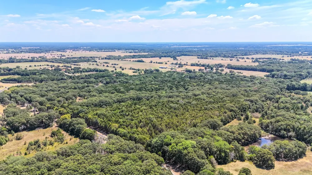 Fm-273 Ivanhoe, TX 75447