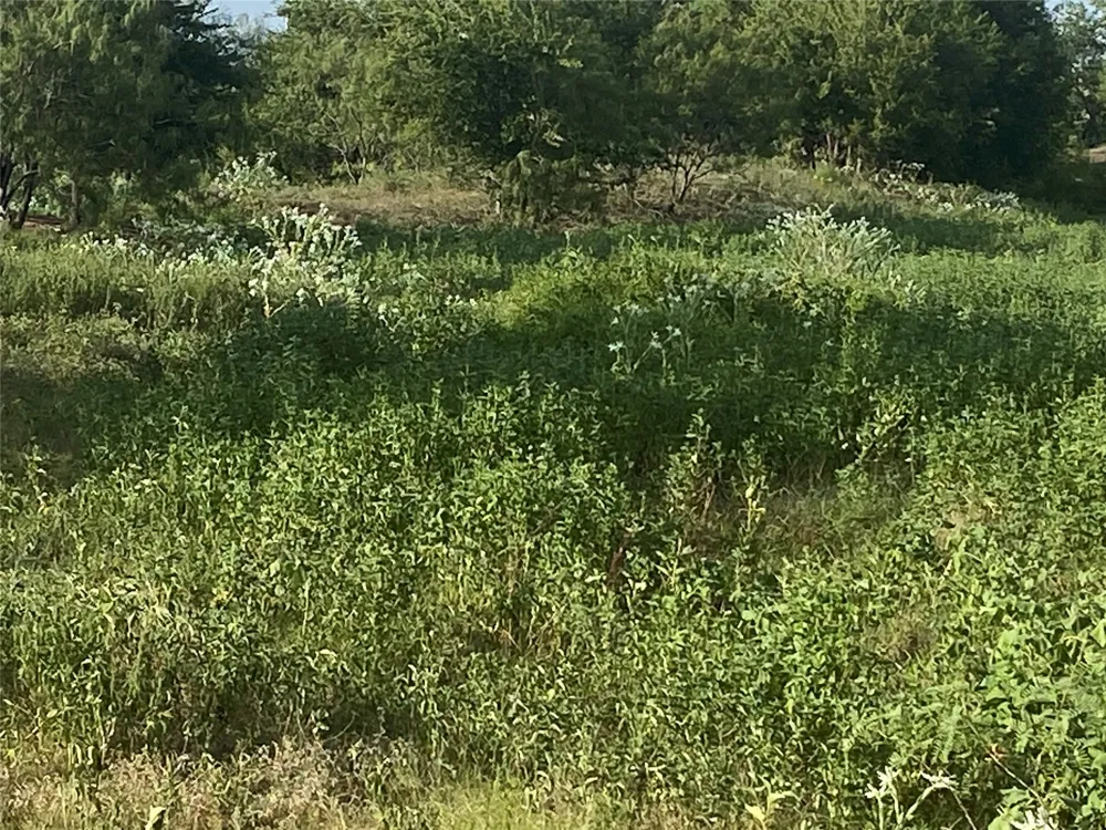 County Road 3254 Mount Calm, TX 76673