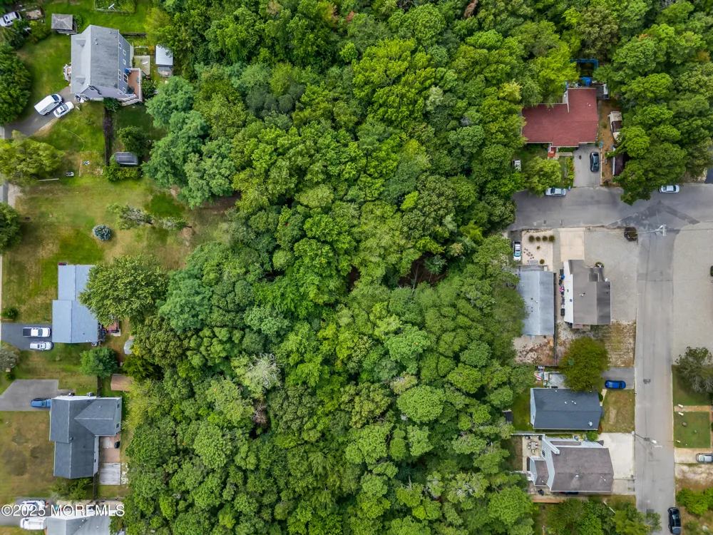 Hazelton Avenue Forked River, NJ 08731