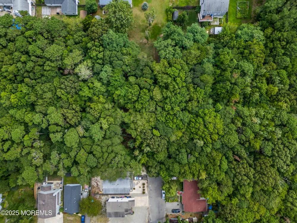 Hazelton Avenue Forked River, NJ 08731