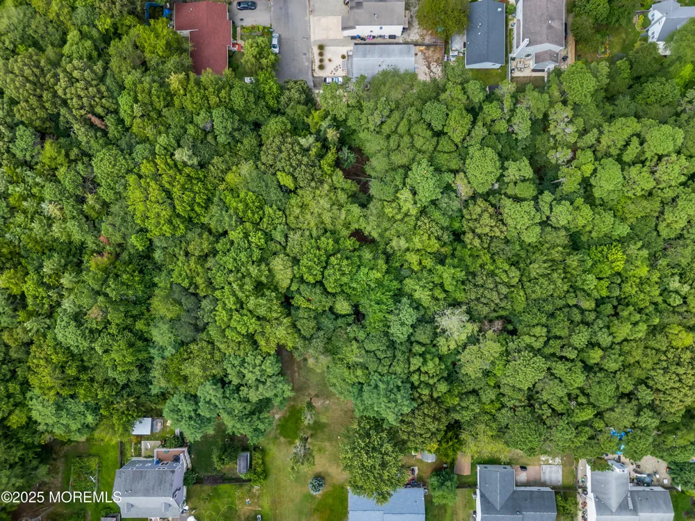 Hazelton Avenue Forked River, NJ 08731