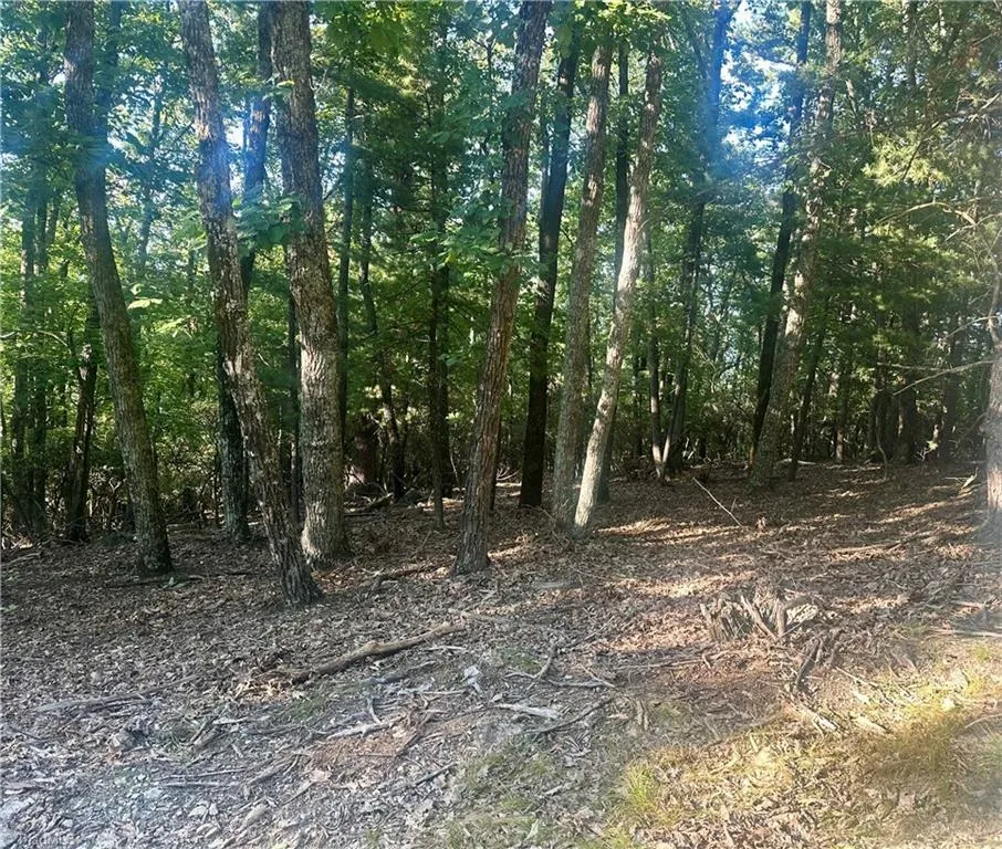 Lot 63 Grandview Circle Traphill, NC 28685