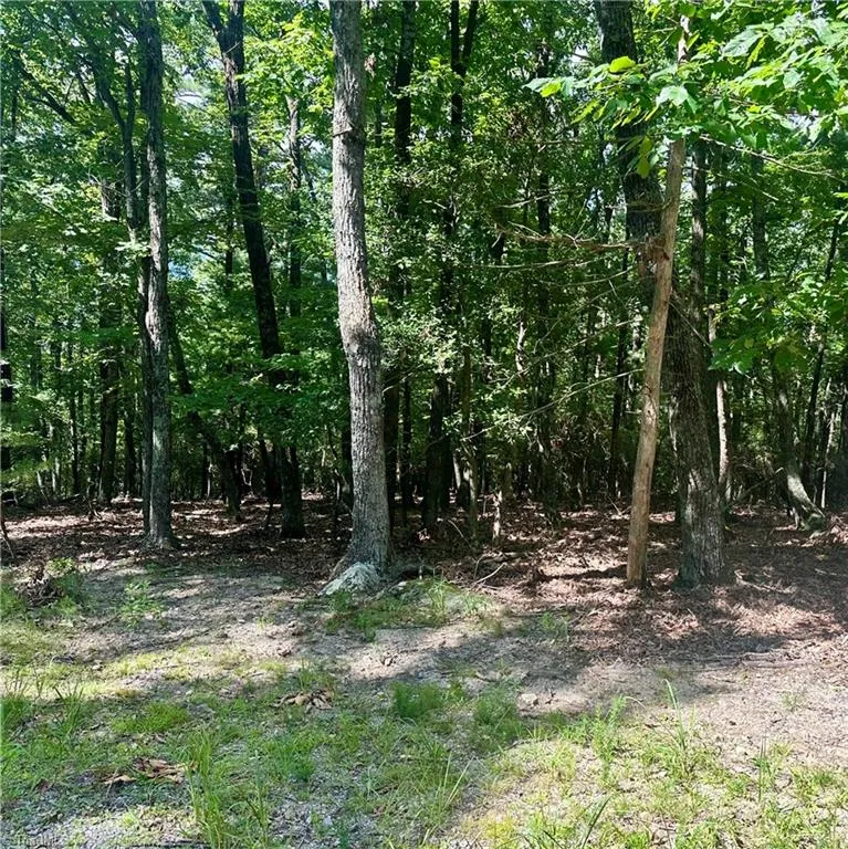Lot 63 Grandview Circle Traphill, NC 28685