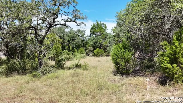 15910 Fm 306 Canyon Lake, TX 78133