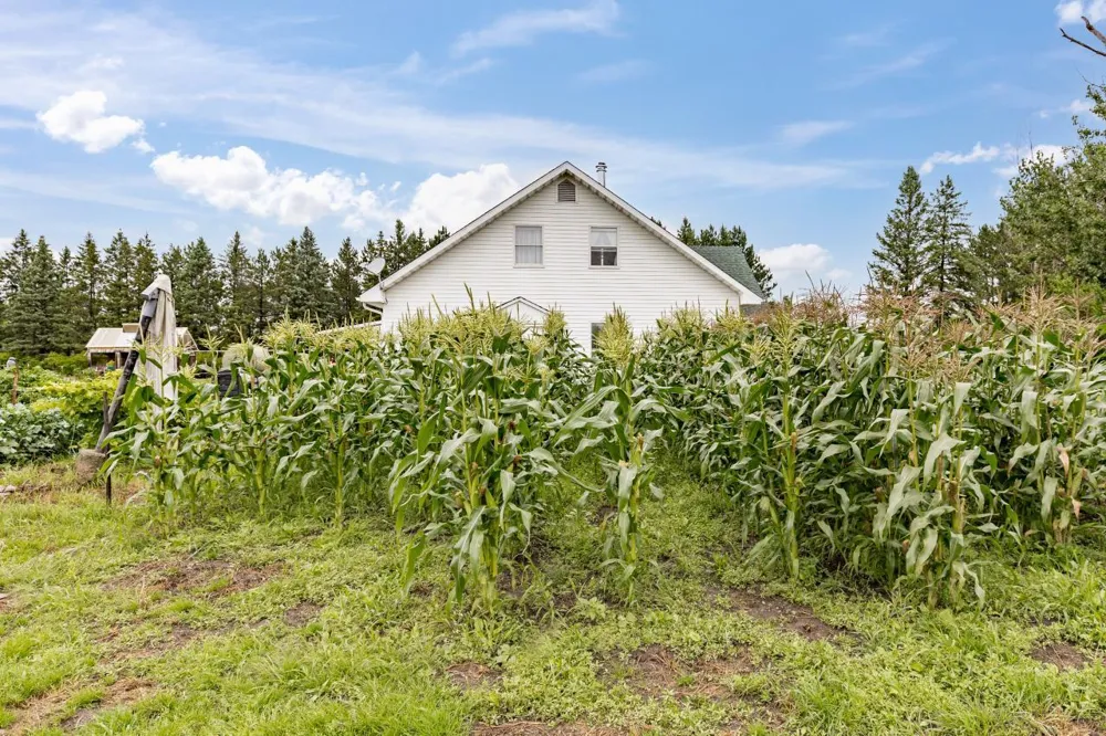 3723 Birchwood Road Kettle River, MN 55757