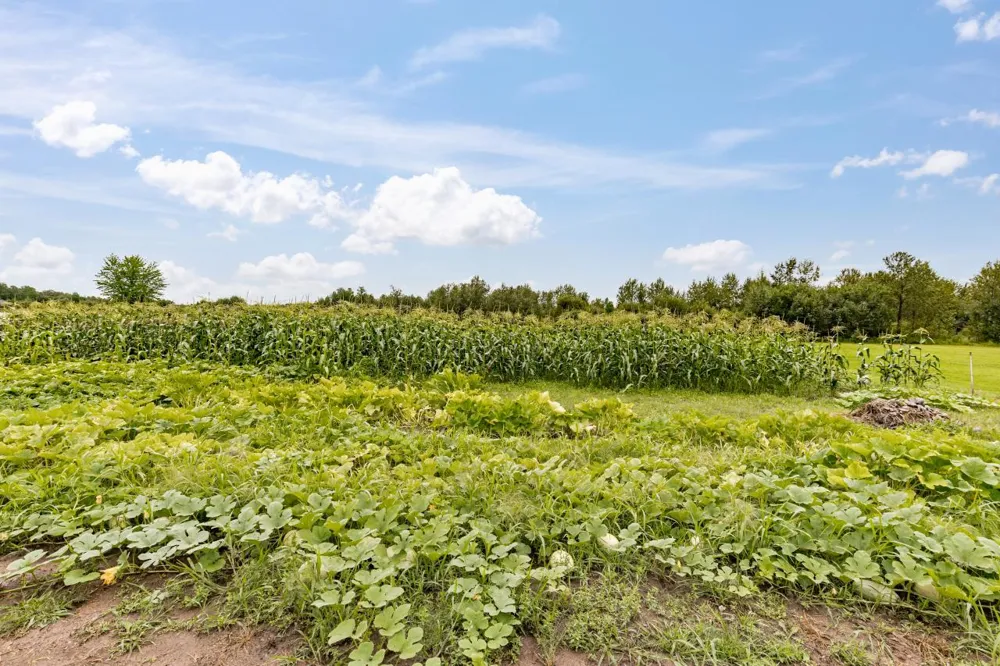 3723 Birchwood Road Kettle River, MN 55757