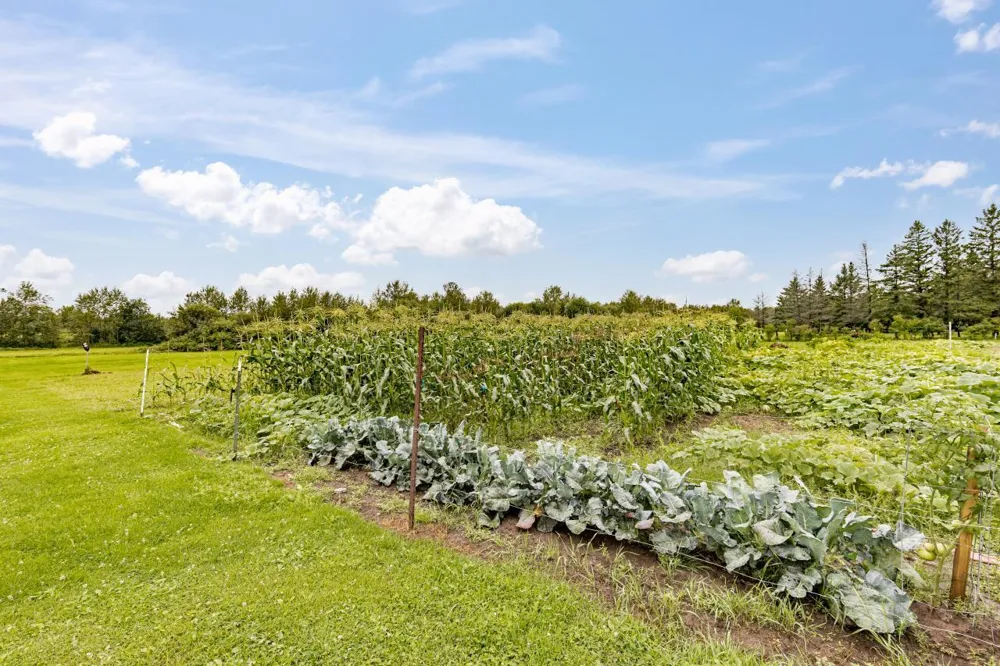 3723 Birchwood Road Kettle River, MN 55757
