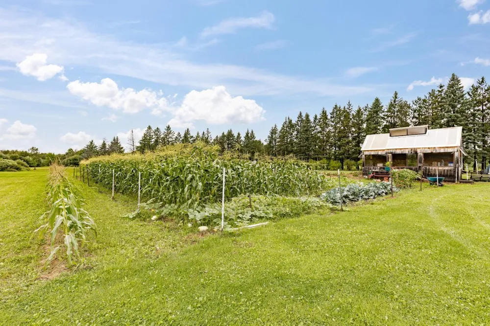 3723 Birchwood Road Kettle River, MN 55757
