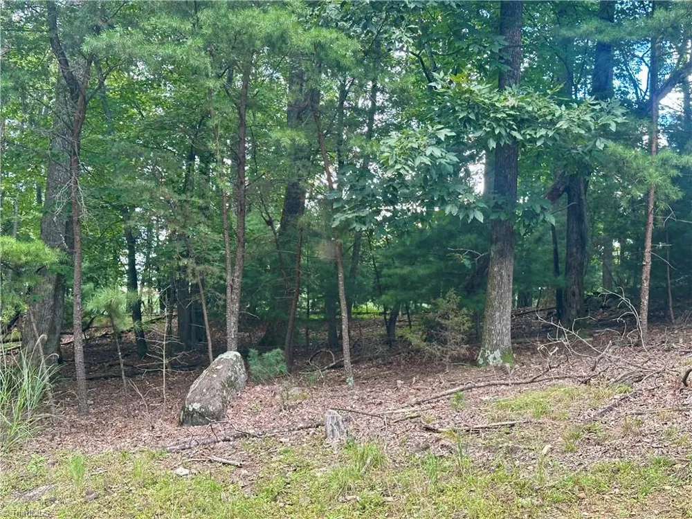 132 View Point Drive Traphill, NC 28685