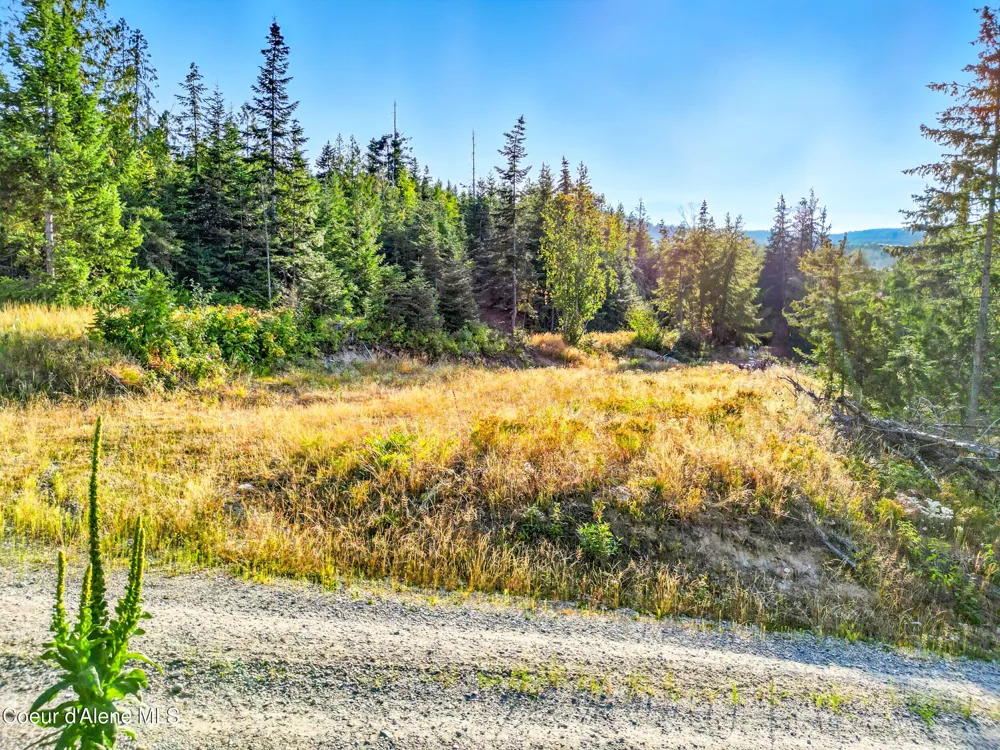 NNA Orion 20Acres Drive Cocolalla, ID 83813
