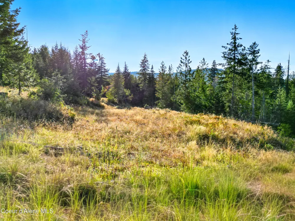 NNA Orion 20Acres Drive Cocolalla, ID 83813