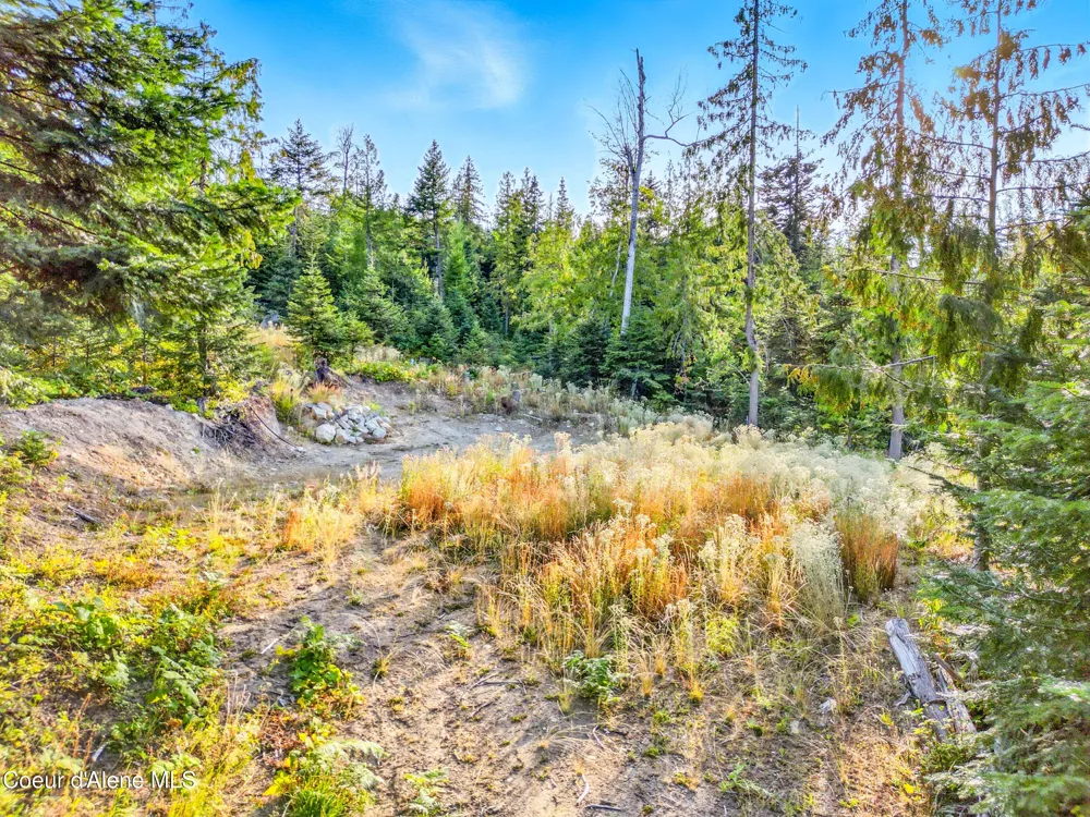 NNA Orion 20Acres Drive Cocolalla, ID 83813