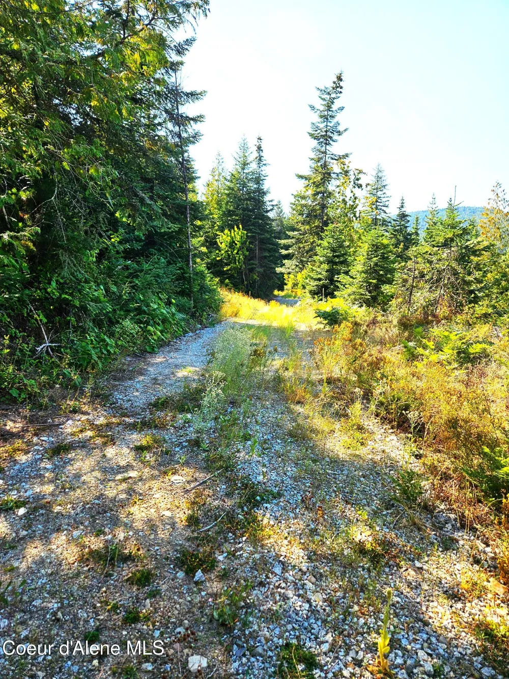 NNA Orion 20Acres Drive Cocolalla, ID 83813