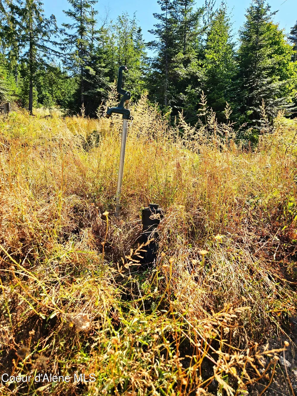 NNA Orion 20Acres Drive Cocolalla, ID 83813