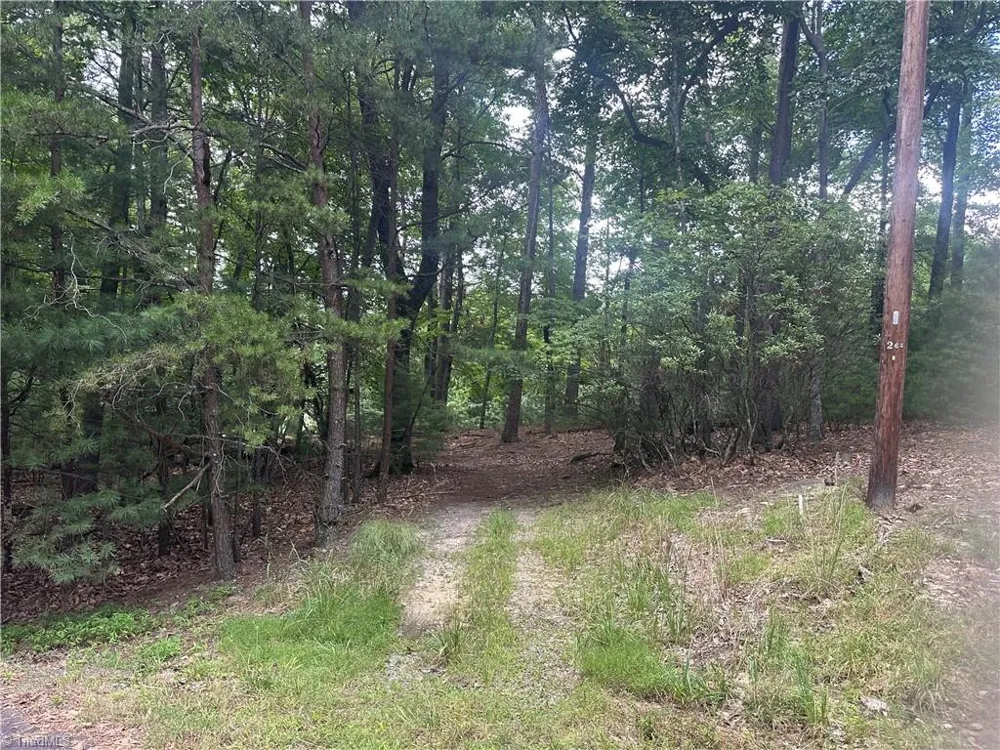 140 View Point Drive Traphill, NC 28685