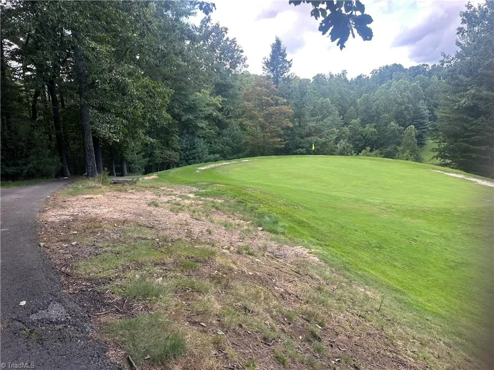 140 View Point Drive Traphill, NC 28685