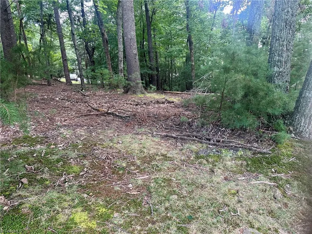 140 View Point Drive Traphill, NC 28685