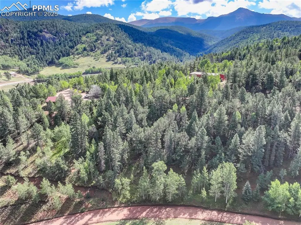 490 Willow Road Divide, CO 80814