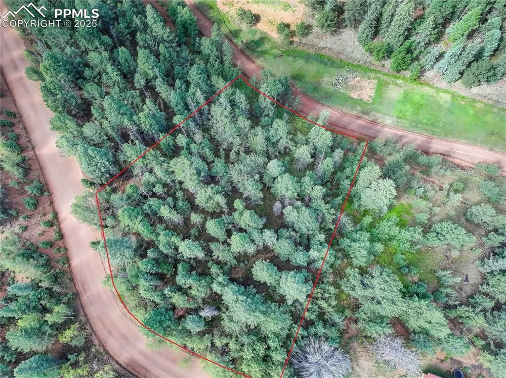 490 Willow Road Divide, CO 80814