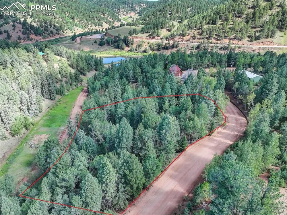 490 Willow Road Divide, CO 80814