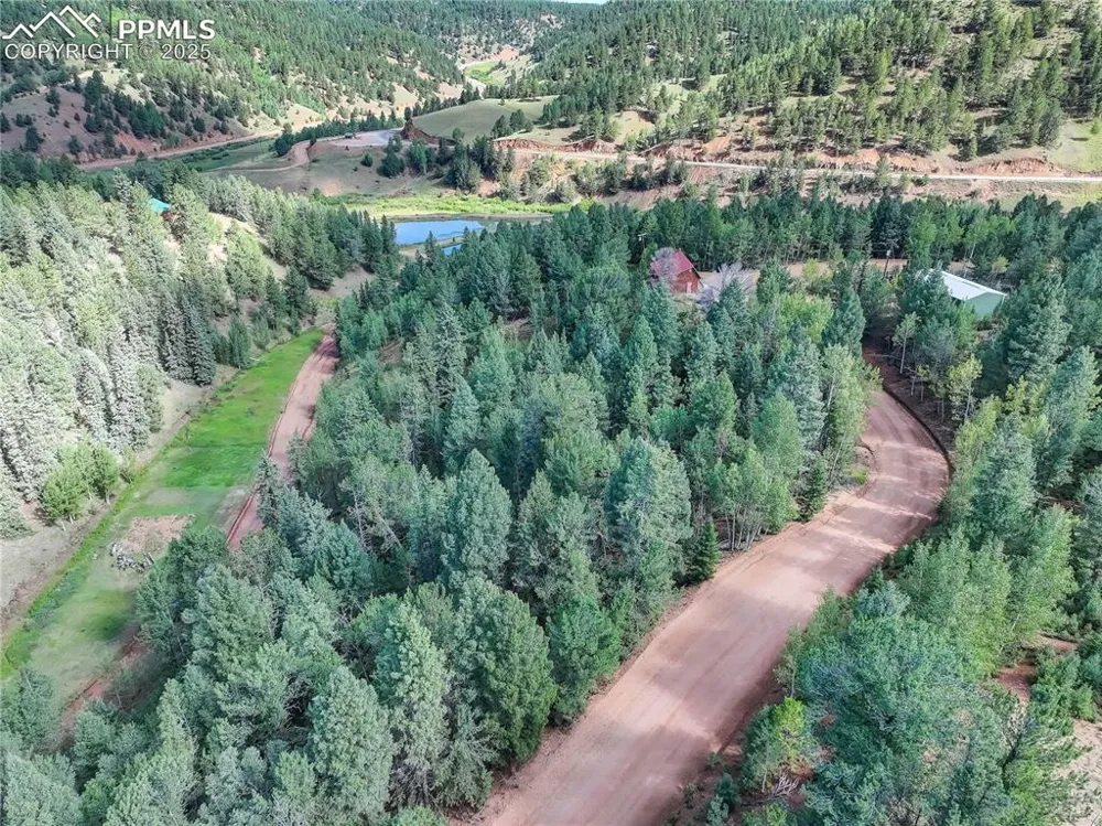 490 Willow Road Divide, CO 80814