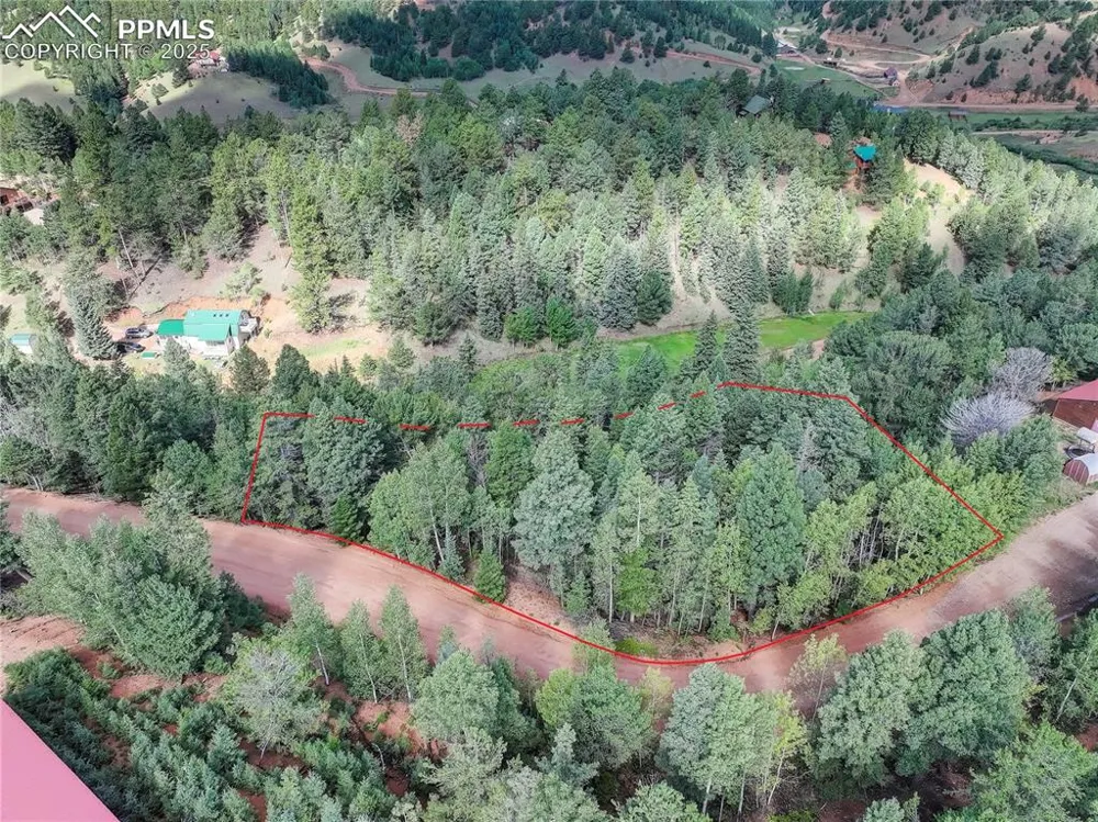 490 Willow Road Divide, CO 80814