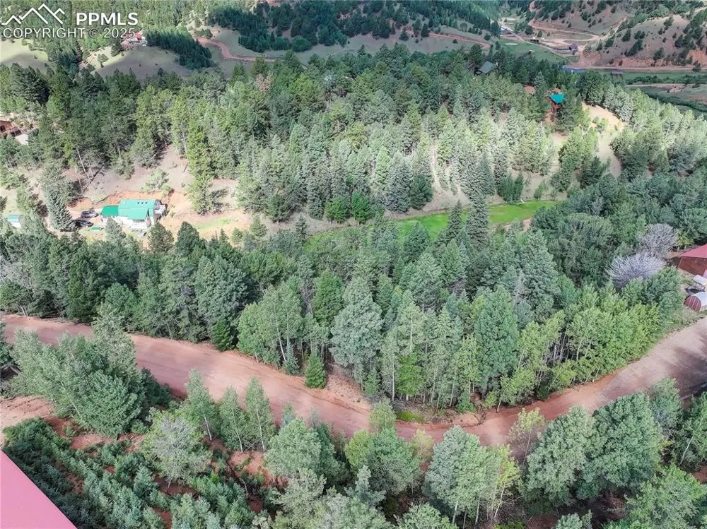 490 Willow Road Divide, CO 80814