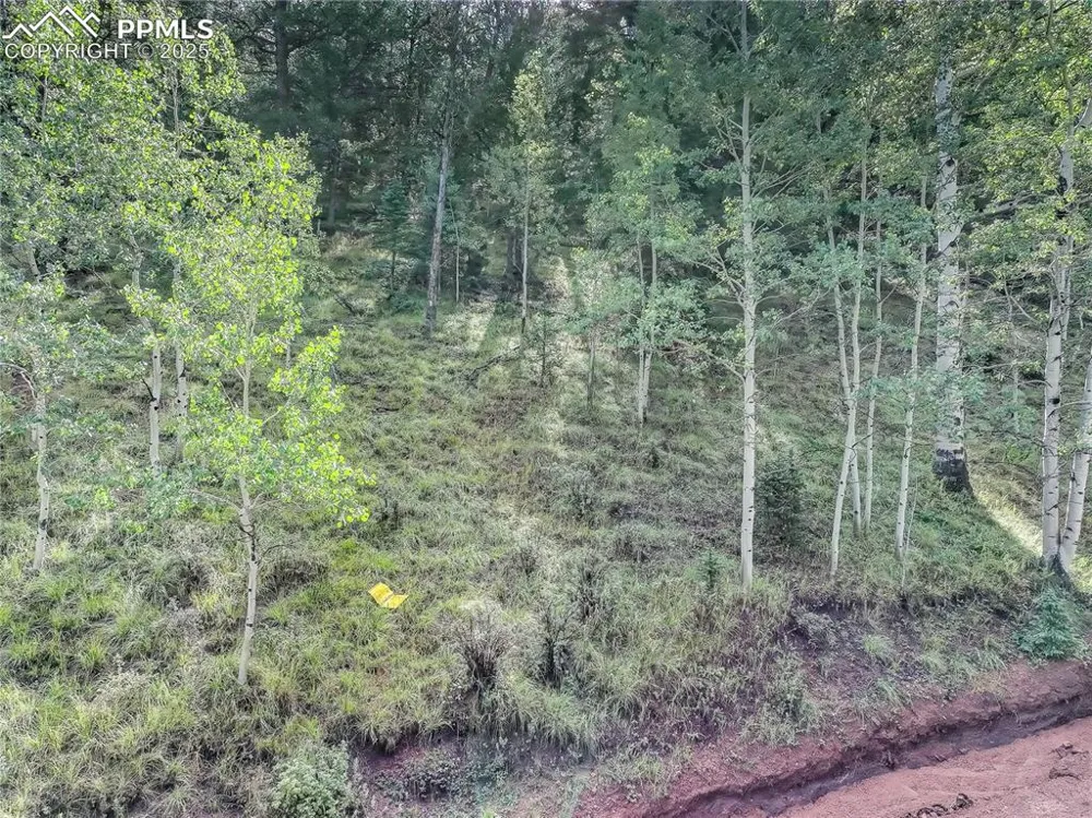 490 Willow Road Divide, CO 80814