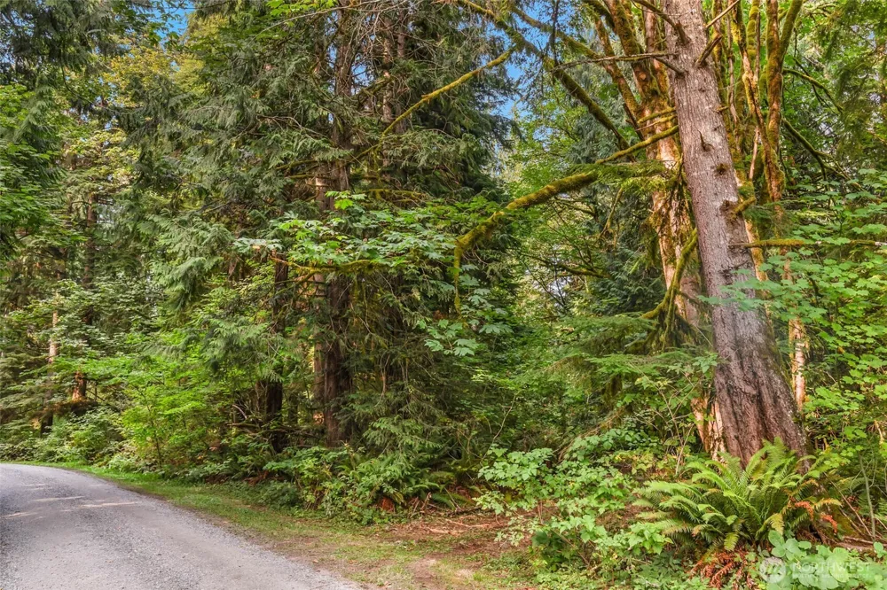 28021 120th Street SE Monroe, WA 98272