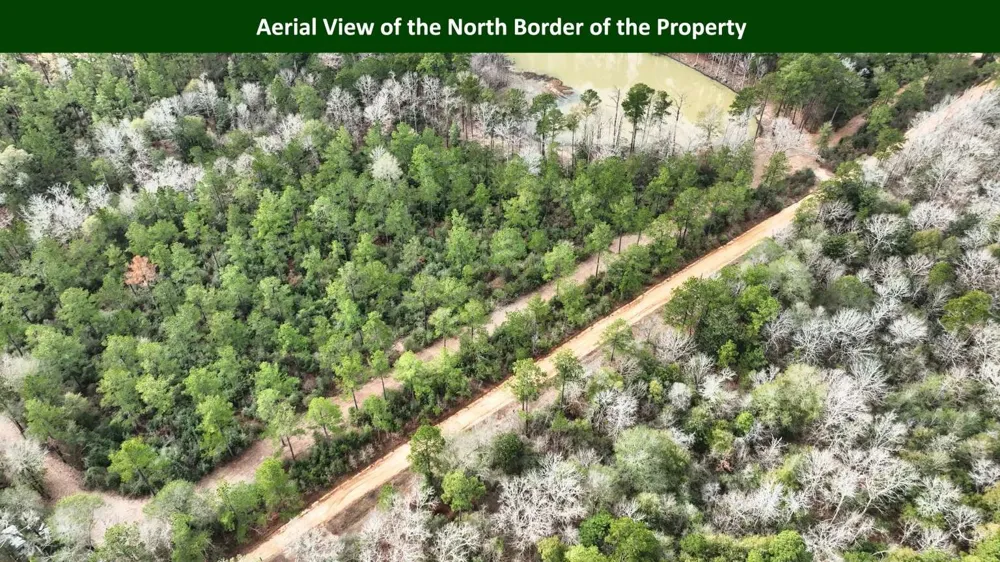 E PR 6150 Woodville, TX 75979