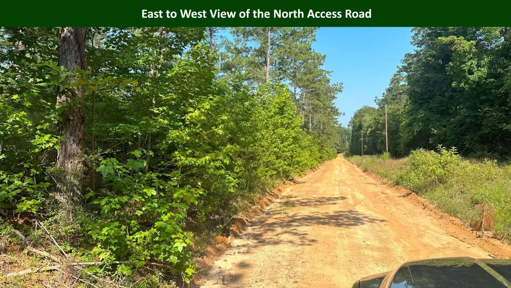 E PR 6150 Woodville, TX 75979