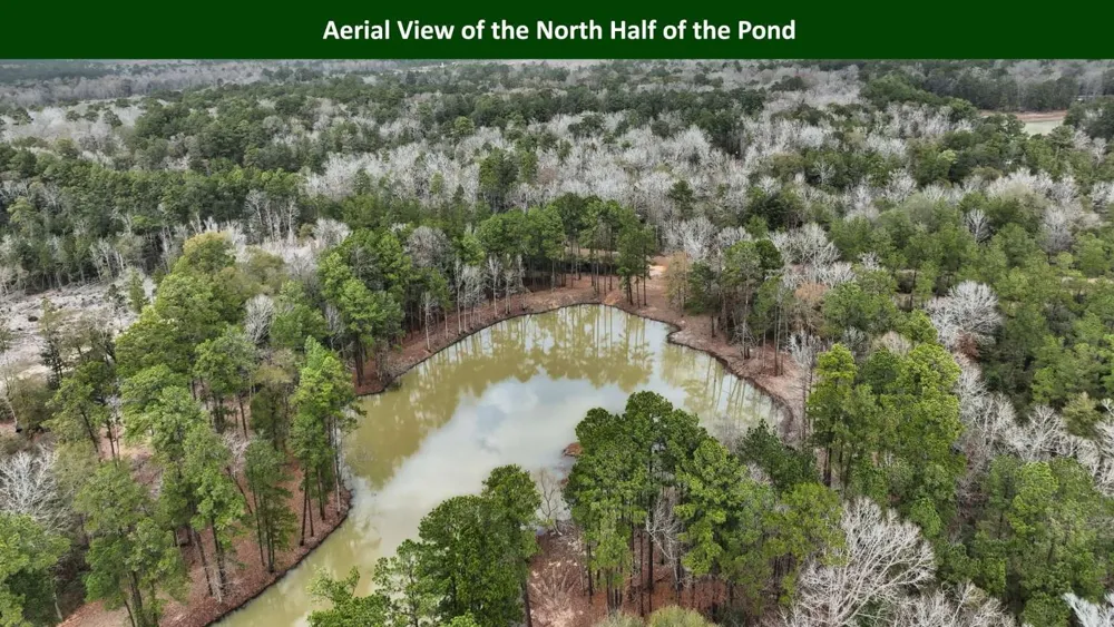 E PR 6150 Woodville, TX 75979