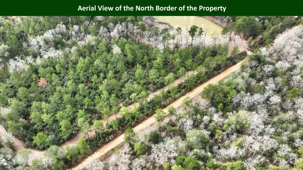 E PR 6150 Woodville, TX 75979