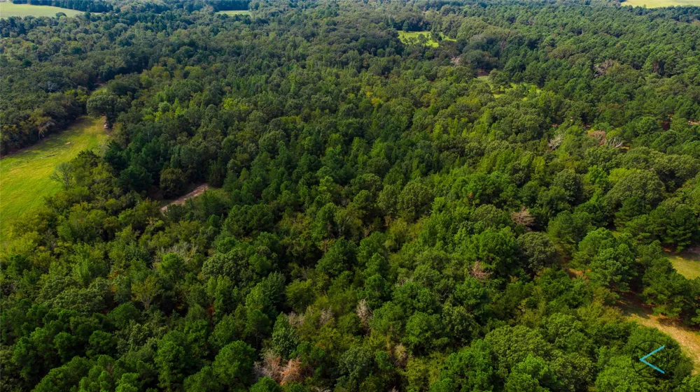 CR 3606 Brownsboro, TX 75756