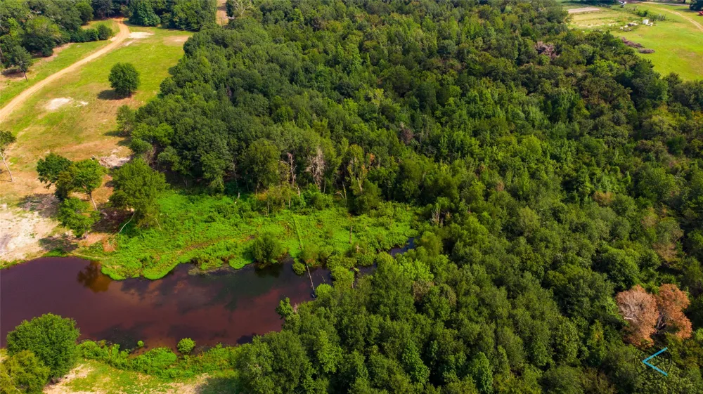 CR 3606 Brownsboro, TX 75756