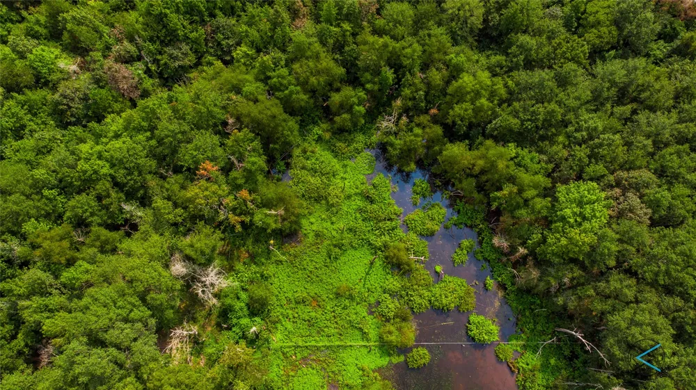 CR 3606 Brownsboro, TX 75756