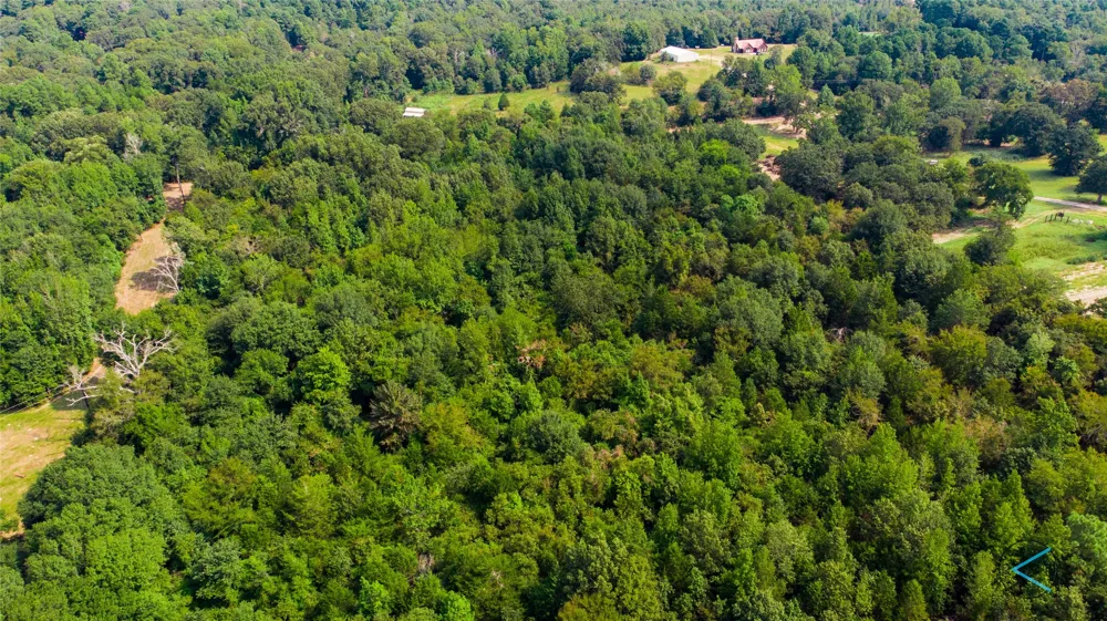 CR 3606 Brownsboro, TX 75756