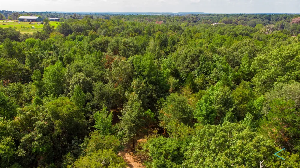 CR 3606 Brownsboro, TX 75756