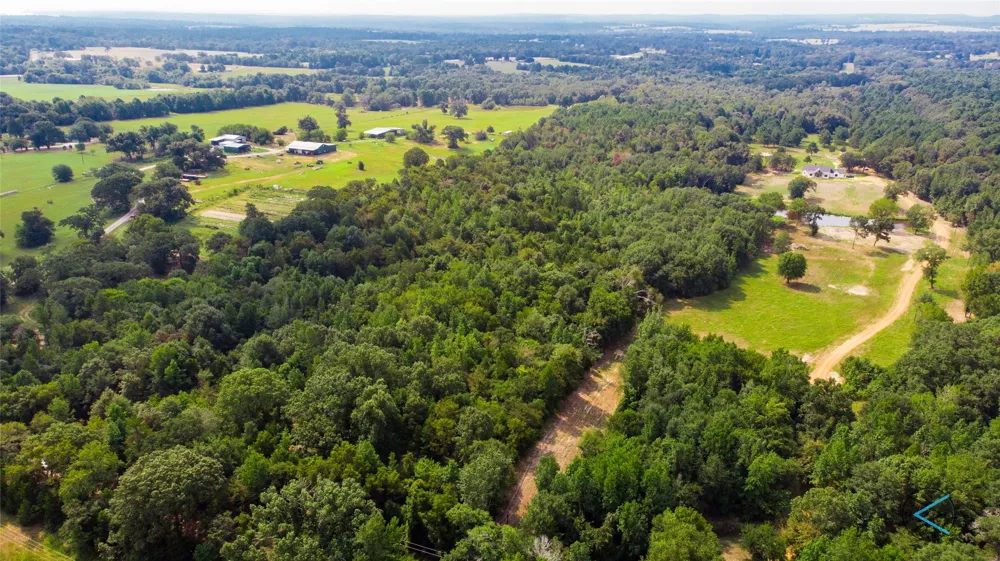 CR 3606 Brownsboro, TX 75756