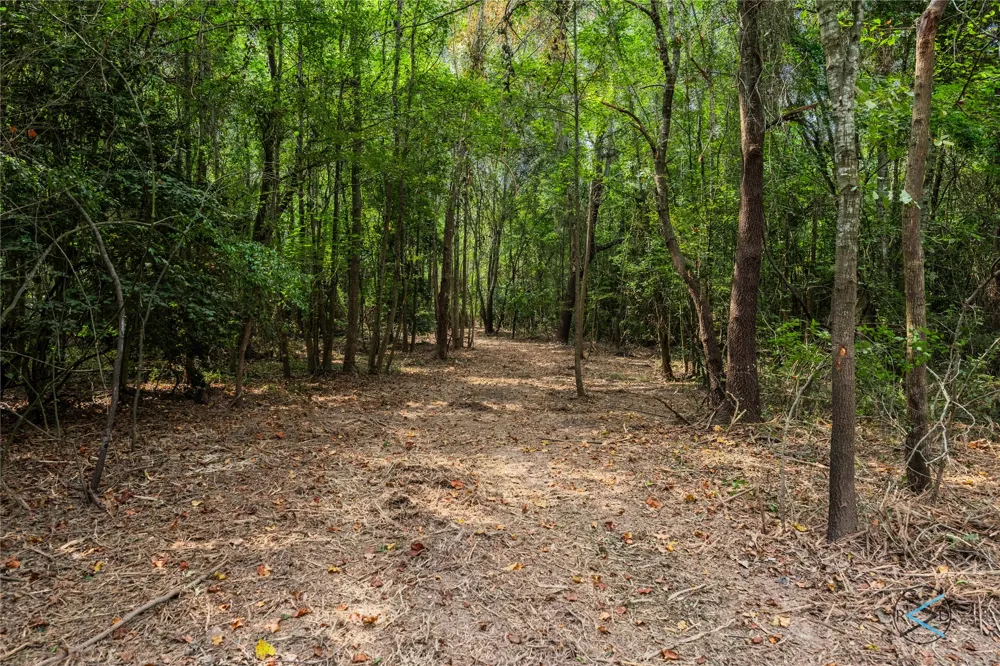 CR 3606 Brownsboro, TX 75756
