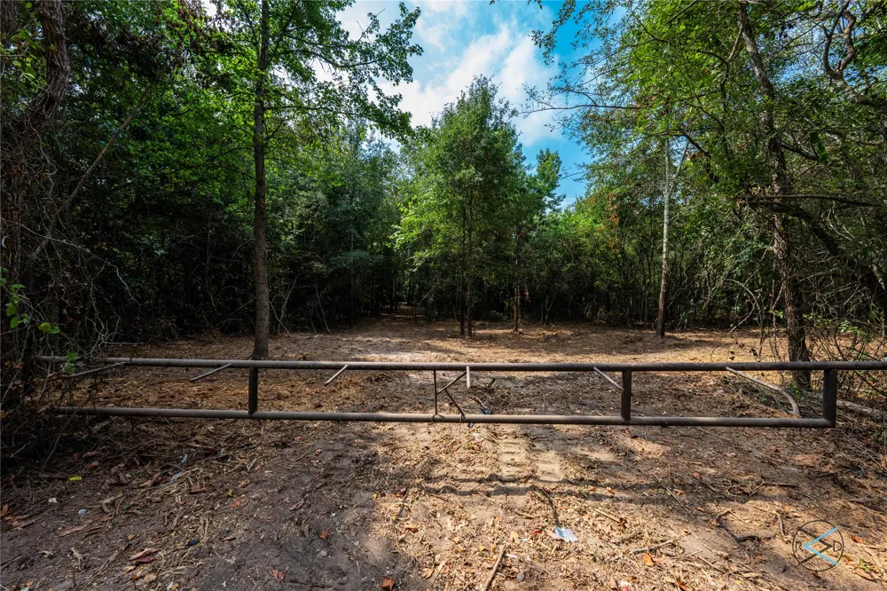 CR 3606 Brownsboro, TX 75756