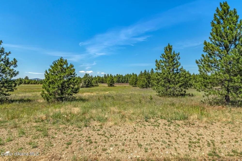 Lot 19 Asulkan St Athol, ID 83801
