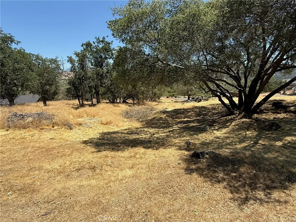 1 Wild Horse Way Coarsegold, CA 93614