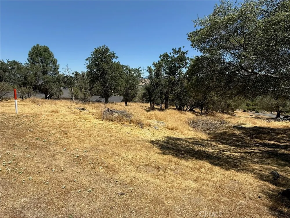 1 Wild Horse Way Coarsegold, CA 93614